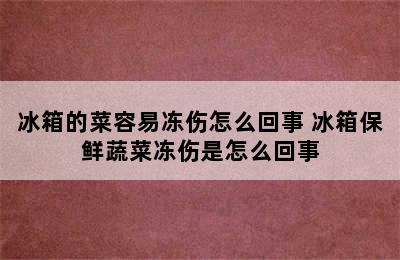 冰箱的菜容易冻伤怎么回事 冰箱保鲜蔬菜冻伤是怎么回事